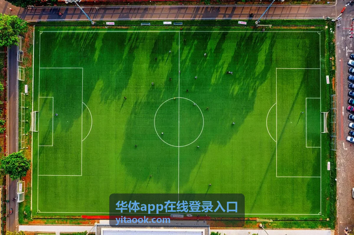 华体app在线登录入口外部协作成员临时接入场景示意