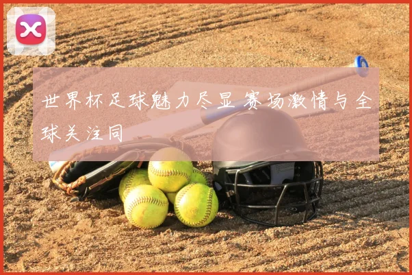 世界杯足球魅力尽显 赛场激情与全球关注同