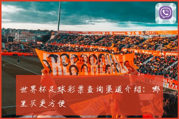 世界杯足球彩票查询渠道介绍：哪里买更方便