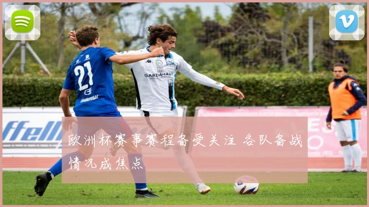 欧洲杯赛事赛程备受关注 各队备战情况成焦点