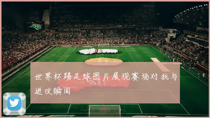世界杯踢足球图片展现赛场对抗与进攻瞬间